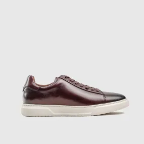 Florsheim Premier Sneaker Burgandy B0259